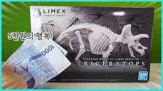 Building a $4 Dinosaur Fossil (Triceratops)