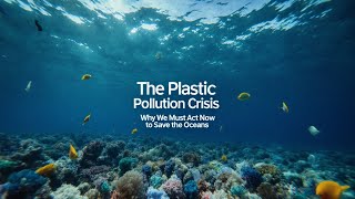 The Plastic Pollution Crisis: Why We Must Act Now to Save Our Oceans