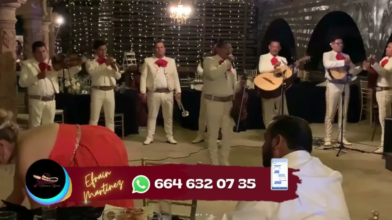 ENTRE COPA Y COPA  /  MARIACHIS EN TIJUANA  / SERENATAS