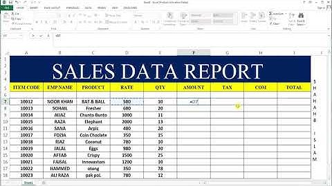 Data Entry Portfolio 2