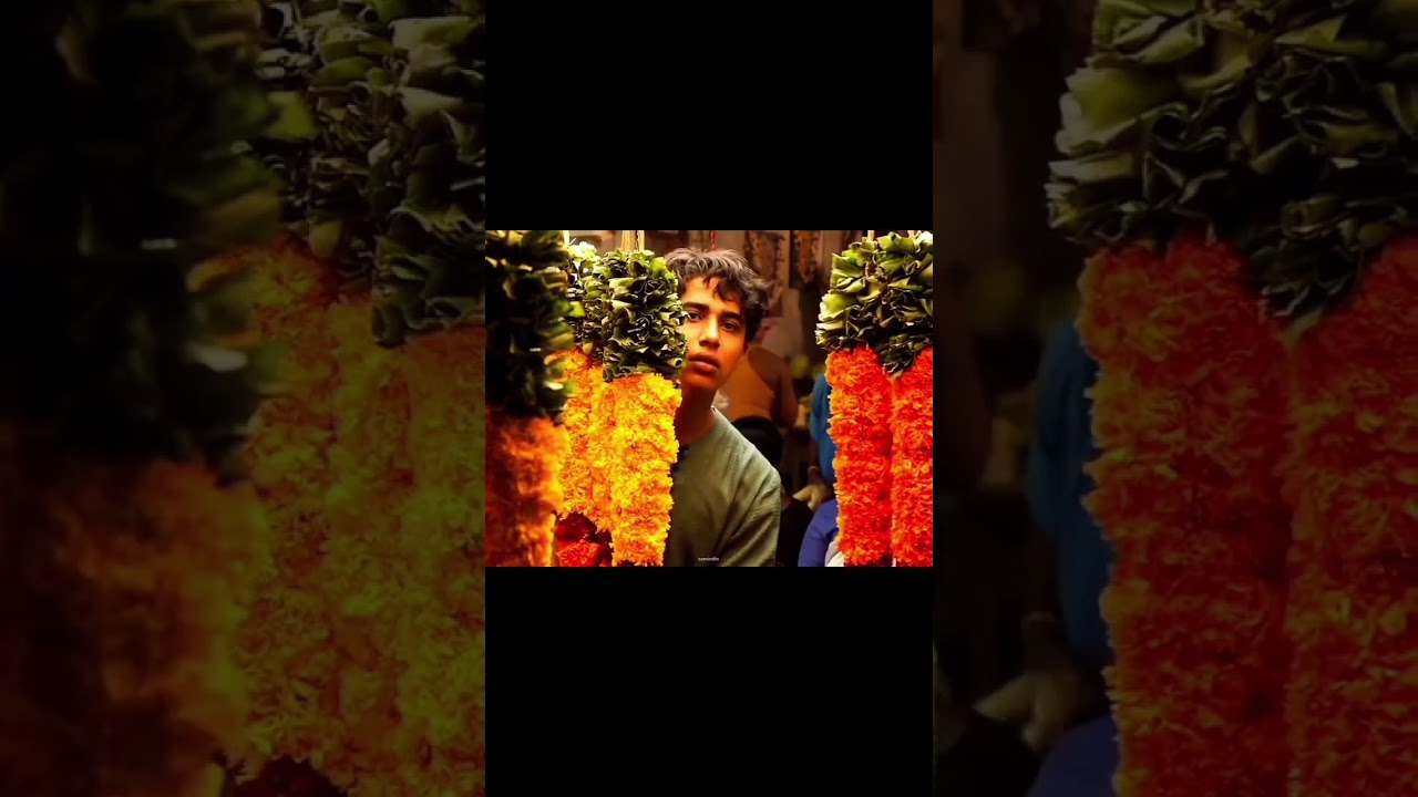 Unakkul Naane | Life of Pi | 