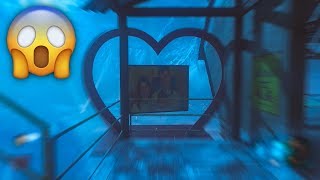 *NEW* Der Eisendrache Easter Egg SOLVED | Black Ops 3 Impossible Easter Eggs REVEALED (Easy Guide)