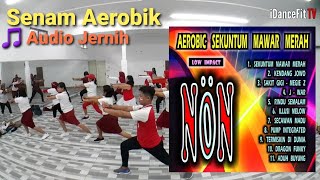 Musik Aerobik Sekuntum Mawar | Senam Pemula | Audio Jernih | iDanceFit TV