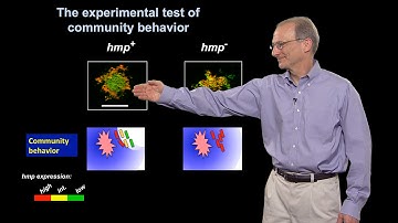 Ralph Isberg (Tufts U / HHMI) Part 2: Community Behavior of an Extracellular Pathogen