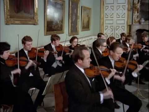 Bach - Brandenburg Concerto No. 3 in G major BWV 1...