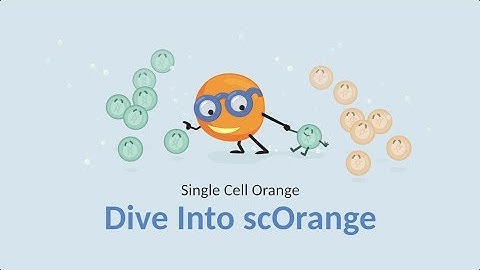 Single Cell Orange 01: Dive into scOrange