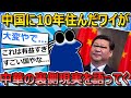 【2ch面白いスレ】中国に10年住んでたワイが中華の現実と裏側について語ってく【ゆっくり解説】