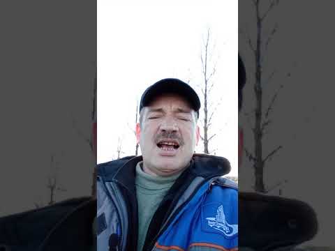 Анекдот про дураков!#shorts#смешные анекдоты#анекдот#дураки