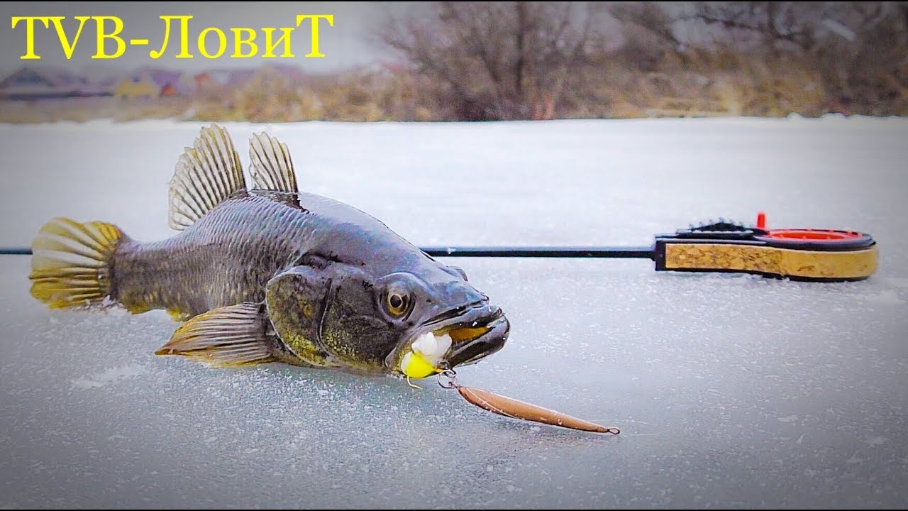 рыбалка видео зимой ратан