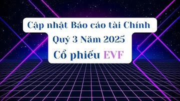 Cập nhật Báo cáo tài chính Quý 3 Năm 2025 của cổ phiếu EVF