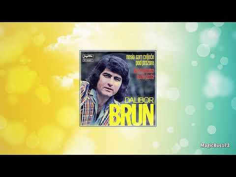 Dalibor Brun -