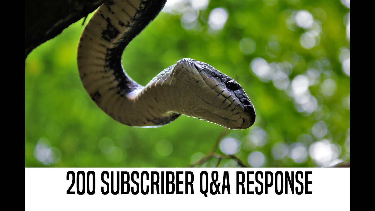 experience regina 200 Subscriber Q&A Response