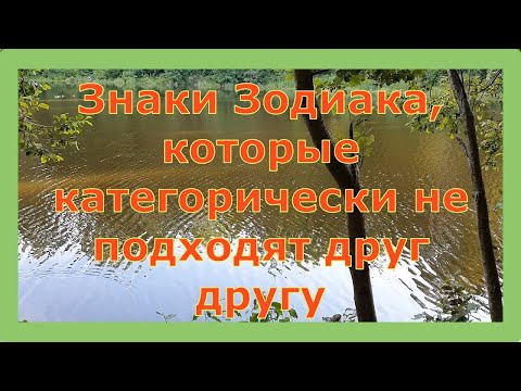 ЗНАКИ ЗОДИАКА, КОТОРЫЕ КАТЕГОРИЧЕСКИ НЕ ПОДХОДЯТ ДРУГ ДРУГУ!