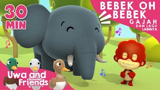 Bebek Oh Bebek, Gajah, dan Lagu Lainnya - 30 Menit Lagu Anak Indonesia