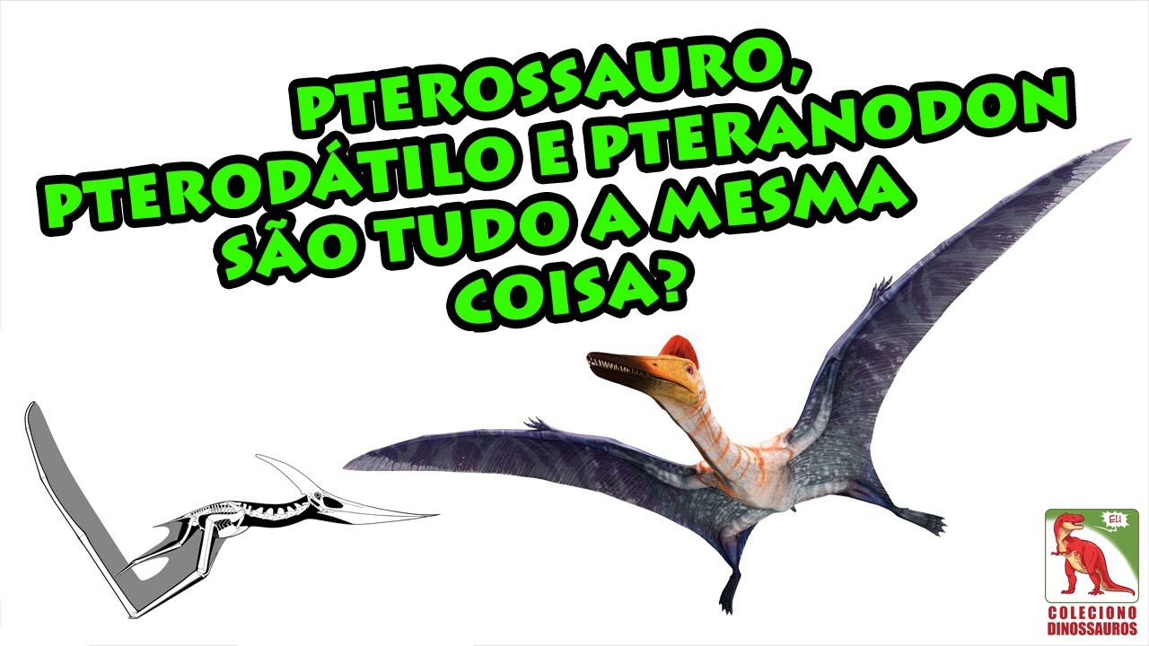 Qual a diferença entre Pterossauro, Pterodáctilo e Pteranodon