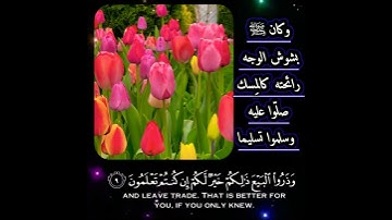ستوريات انستا دينية جديدة//اجمل حالات واتس اب دينية يوم الجمعه جديدة//القارئ: رعد الكردي//بدون حقوق