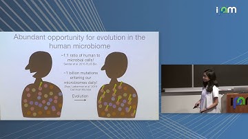 Nandita Garud: "Population Genetics in the Human Microbiome"