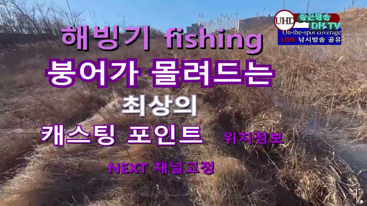 UHD 주소정보채널 fishing 해방기 2월9일 취재 붕어 때로 몰려드는 포인트 위치정보 LIVE 좋은방송 DH TV 제작 구독 좋아요