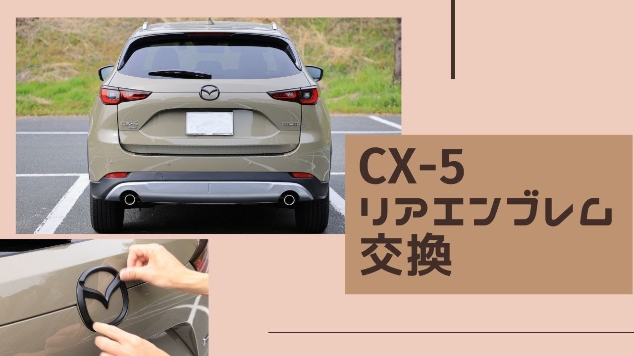 センターガーニッシュ ブレーキ スモール エンブレム外し 車の