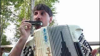 harmonica and accordion - 'Walking my Baby back home'
