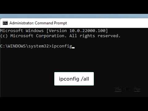 How to Check Your Current DNS Server on Windows 11