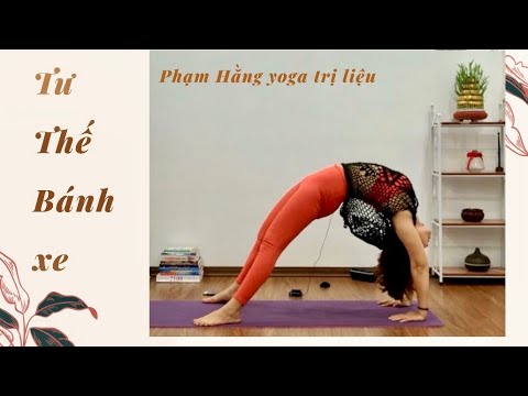 Video: Bánh Xe Thể Dục để Làm Gì?