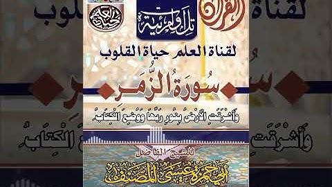 تلاوة _ عطرة _ من سورة _ الزمر # للشيخ _ الفاضل _ أبي حمزة _عيسى _ المصنف
