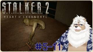 【steam】S.T.A.L.K.E.R. 2 #5-11【5周目 Patch2.0.6】