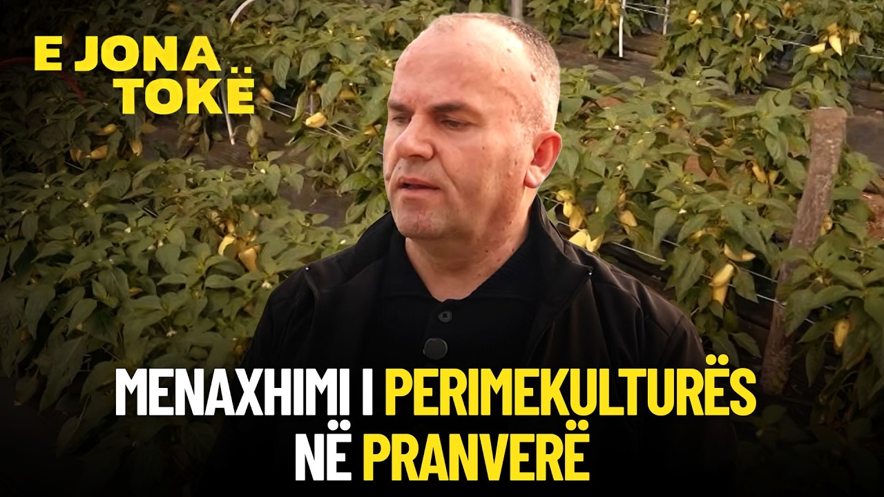 Menaxhimi i perimekulturës në pranverë, flet agronomi Besim Sahiti