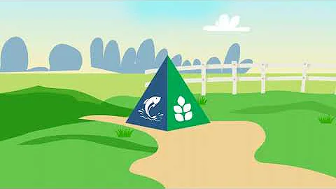 Valueman Organic Stock Saver Plus