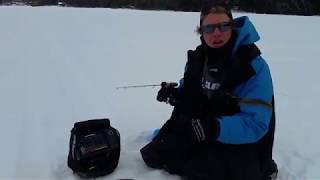 Flashers vs. Standard Sonar Views for Ice Fishing 