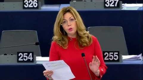 Cecilia Wikström 14 Dec 2016 plenary speech on EU Turkey