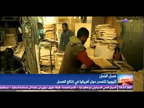 أثيوبيا تتصدر دول أفريقيا في إنتاج العسل السوق