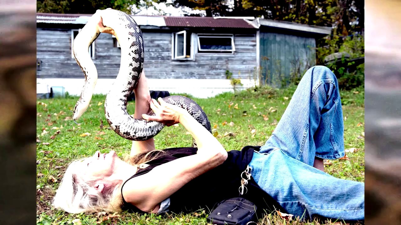 pythons for sale Think Like Your Snake Does