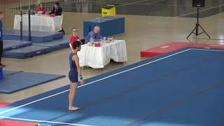 2018 Greater New York Invitational Level 9 Floor