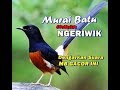 Dengarkan Audio Mb Ini Dijamin Murai Ngeriwik Langsung Ikut Ngeplog Gacor Full Mp3 - Mp4 Download