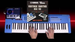Vintage Synths for MX49/61 V2 Promotional Download