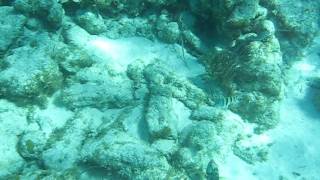 Underwater Video Snorkeling Grand Cayman