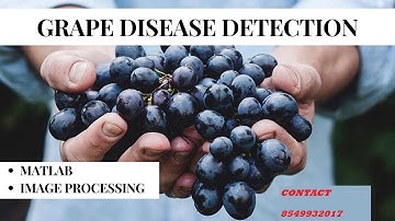 Real-Time Diseases Detection of Grape and Grape Leaves using GLCM and SVM Classifier | MATLAB