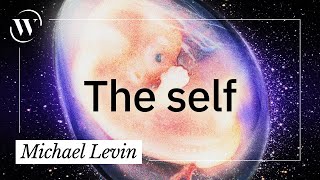 The science of the “self” | Michael Levin