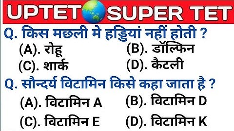 UPTET 2021 || Super TET EVS Important Questions || Super TET || UP LEKHPAL || SSC || RRB || UPPET