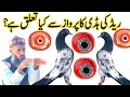 Pigeon strong backbone how is it good  pigeon pose  amjad ali official