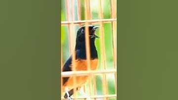 chúc cả nhà ngày cuối tuần vui vẻ sức khỏe hạnh phúc bình an bên gia đình và người thân