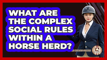 What Are The Complex Social Rules Within A Horse Herd? - The Horses Stable