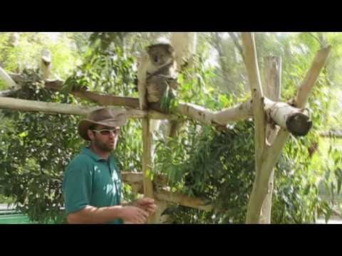 Gan Garoo - Australian Zoo - at Kibbutz Nir David ...