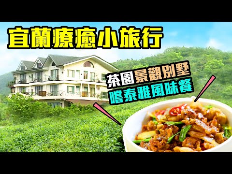 【宜蘭大同】玻璃屋+半露天浴池，泡澡獨享茶園美景｜「泰雅風味餐」天然特殊香料馬告刺蔥，老饕級美味｜茶園景觀民宿｜ep.278