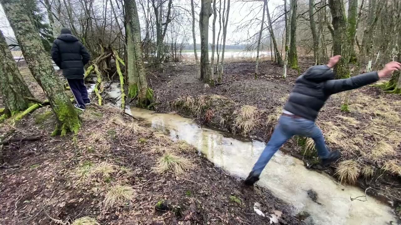 څلور ملګری 2 برخه