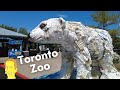 Toronto zoo tour 2023  explore canadas biggest zoo