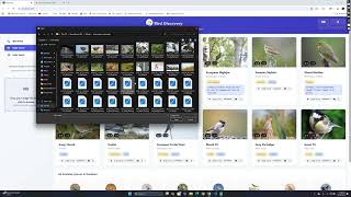 Bird Discovery - Multimodaltext, Image And Audio Search Engine