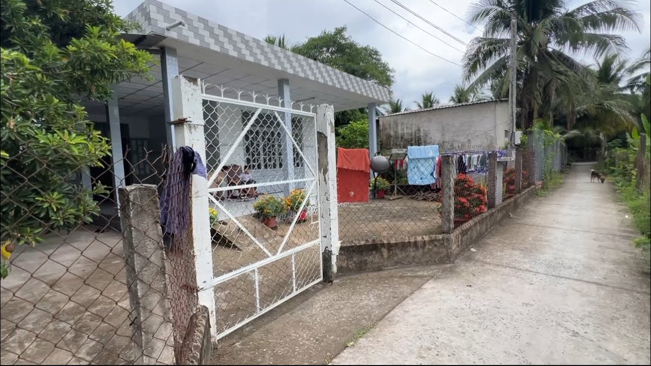 T.3234 mảnh đất vườn trái cây xum xuê trồng dừa xã sông thuận châu thành tiền Giang giá rẻ quá trời 